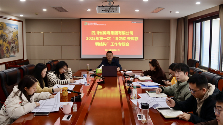 集團公司召開2025年第一次“清欠款、去庫存、調結構”工作專題會