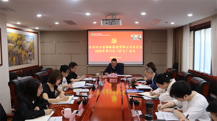 集團公司召開2025年第11次黨委（擴大）會議