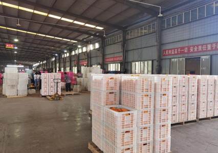 1631859658605405.jpg 9bd54465a0788b28b63bac4dc9ab1c0