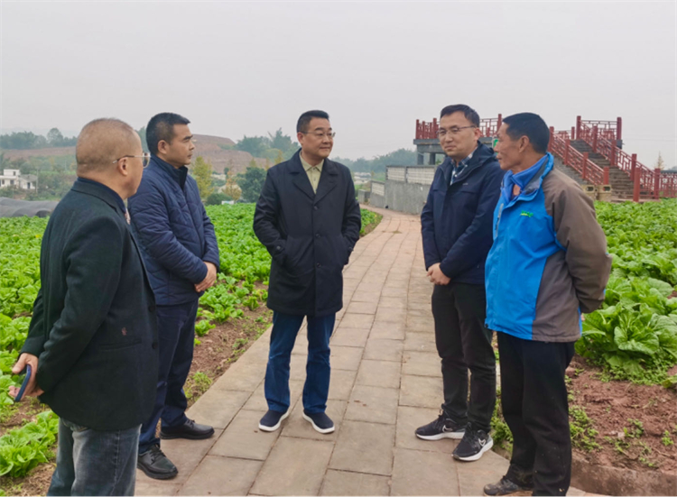 1701931206358491.jpg 圖片2.jpg